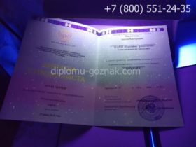 Диплом инженера ВУЗа 2016 года с заполнением, титульный лист под УФ лампой
