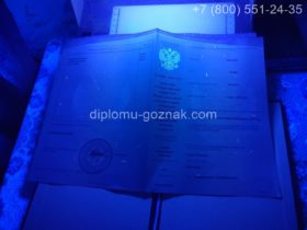 Приложение к диплому фельдшера ВУЗа 2018 года под УФ лампой