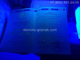 Диплом переводчика ВУЗа 2018 года, титульный лист под УФ лампой