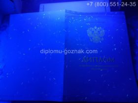 Диплом фармацевта ВУЗа 2017 года, титульный лист под УФ лампой