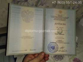 Строительный диплом ВУЗа 2005 года с заполнением, титульный лист