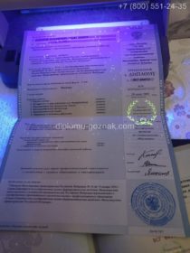 Приложение к диплому провизора ВУЗа 2004 года под УФ лампой